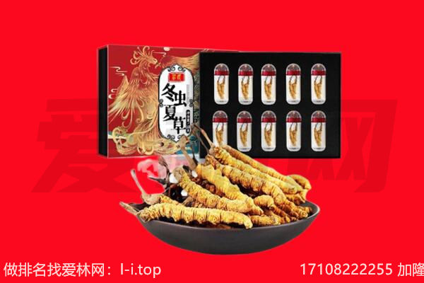 绥宁县回收虫草.jpg